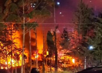 Memanas! Kantor Bupati dan Gedung DPRD Puncak Papua Dibakar Massa