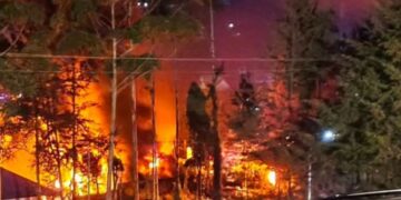 Memanas! Kantor Bupati dan Gedung DPRD Puncak Papua Dibakar Massa