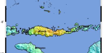 Gempa M7,7 Mengguncang NTT, 14 Orang Meninggal Dunia dan Puluhan Bangunan Rusak