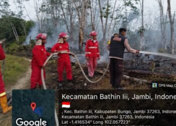Polsek Muara Bungo Bersama Manggala Agni Padamkan Karhutla di Kebun Karet Teluk Beringin